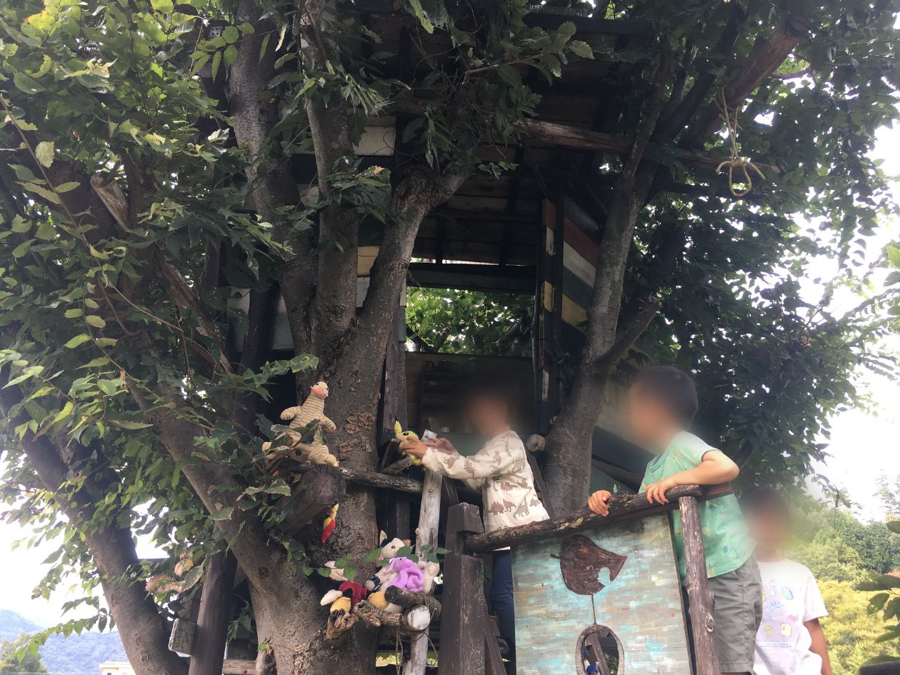 韮崎市『おちゃのじかん』子どもが楽しめるツリーハウス