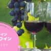 【山梨ワイン】キザンワイン赤 （機山洋酒工業）